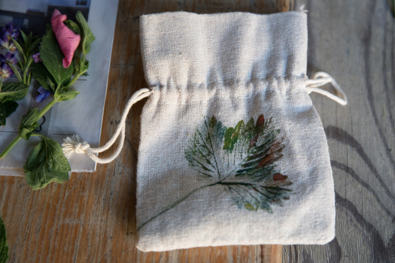 Getrocknete Kr&auml;uter und Bl&uuml;ten in Glasr&ouml;hrchen, darunter M&ouml;rser