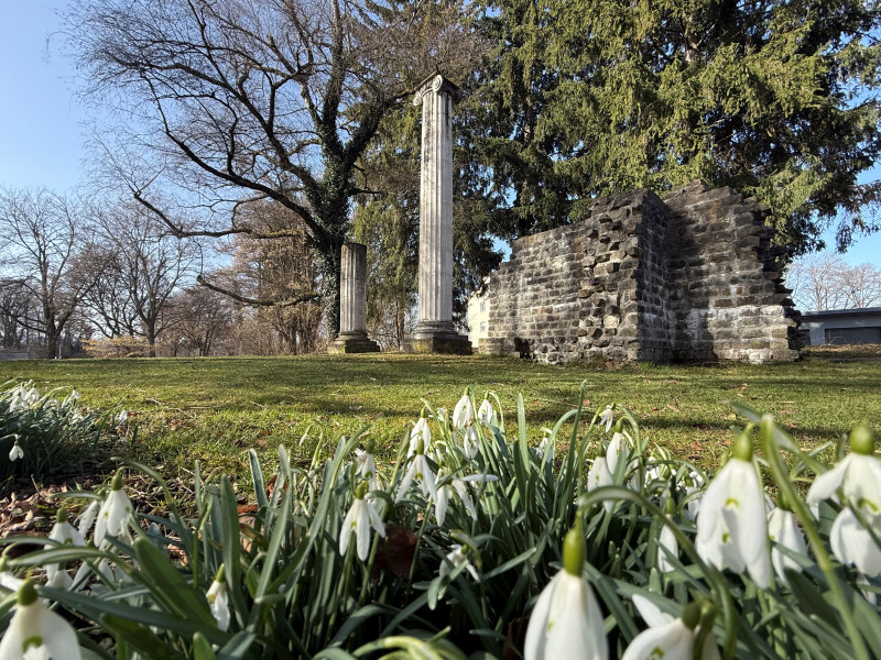 Im Vordergrund Schneegl&ouml;ckchen, im Hintergrund r&ouml;mische S&auml;ulen